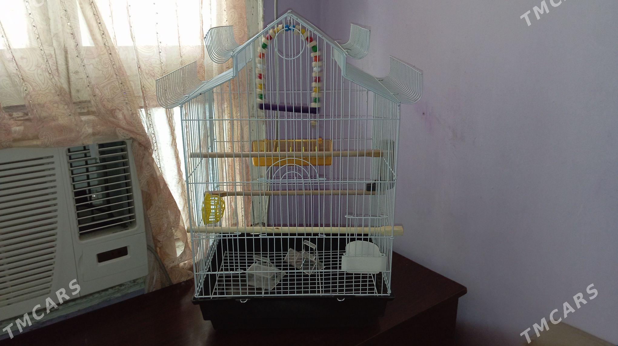 Клетка для птиц - Aşgabat - img 1