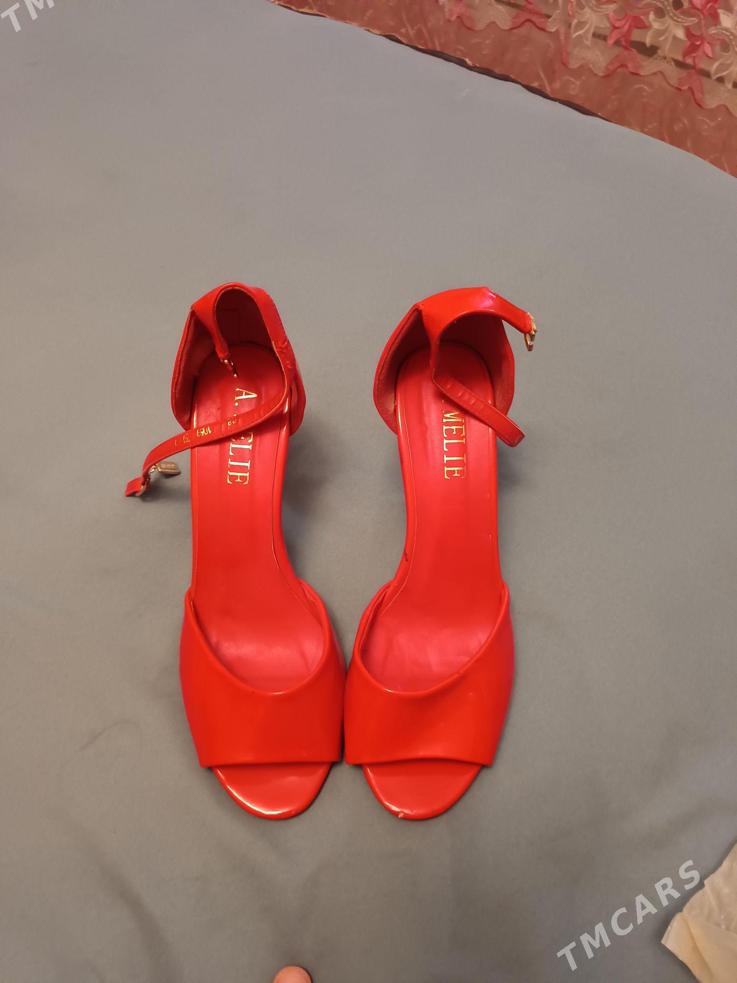 kovushler - Änew - img 4