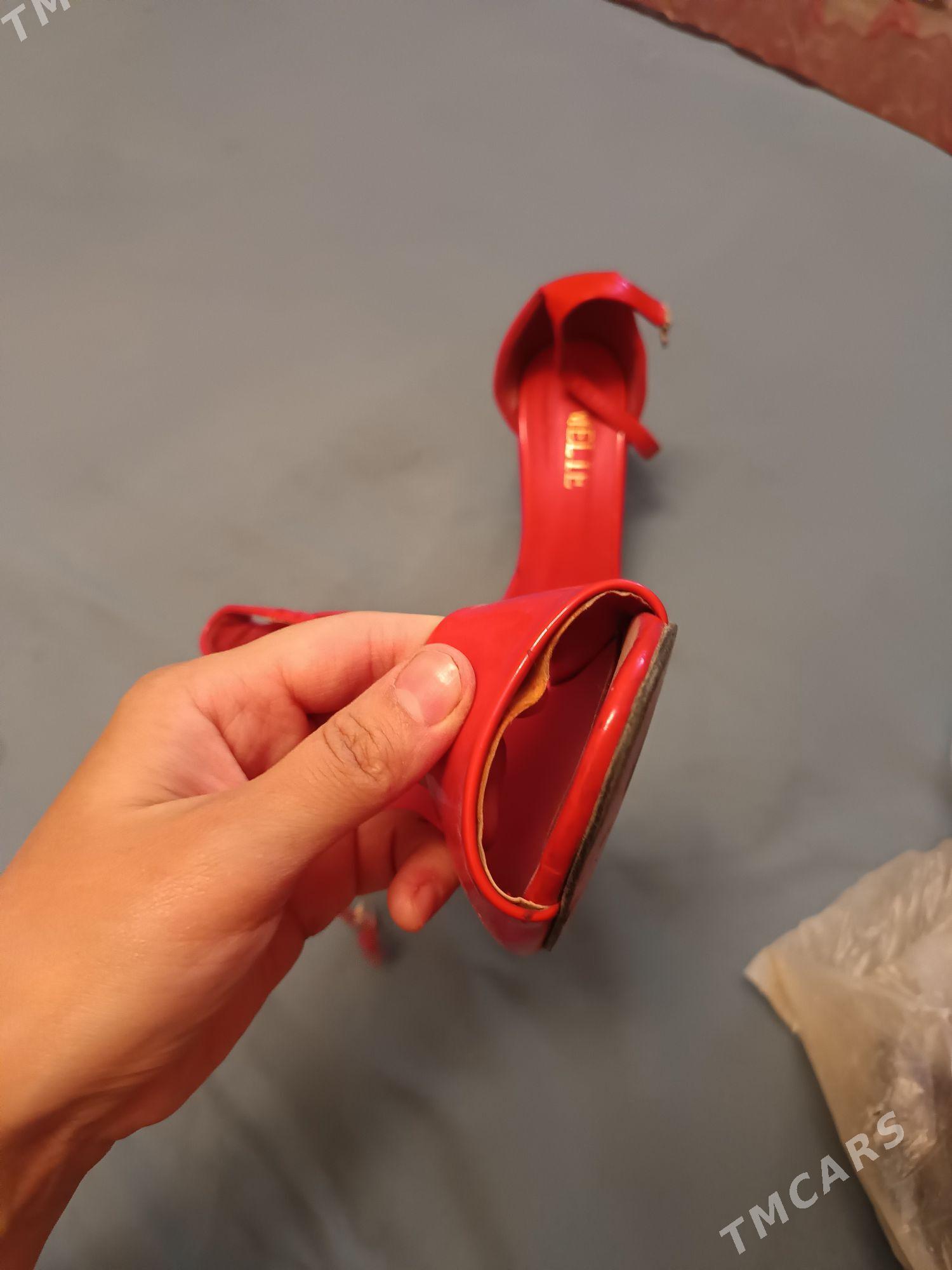 kovushler - Änew - img 3