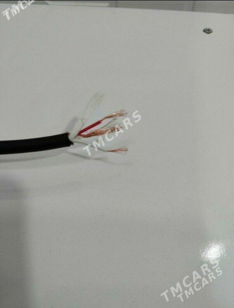 MIKRAFON KABEL - Aşgabat - img 1