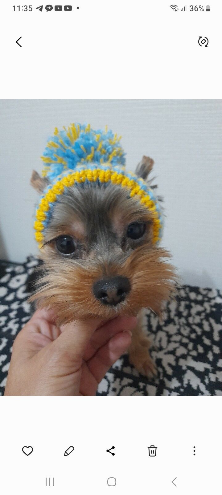 кофточки - Aşgabat - img 3