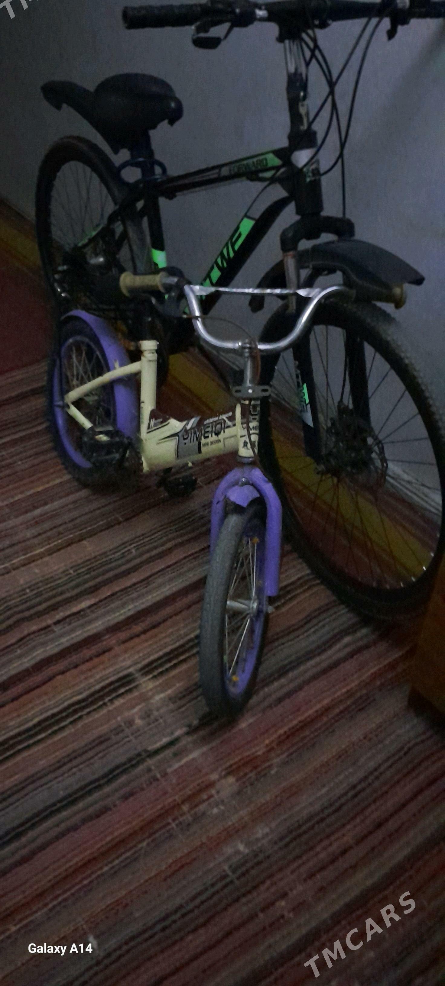 tigir - Büzmeýin - img 8