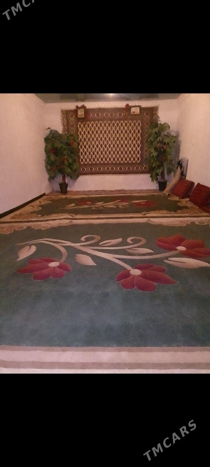 hojalyk harytlary - Акдепе - img 4