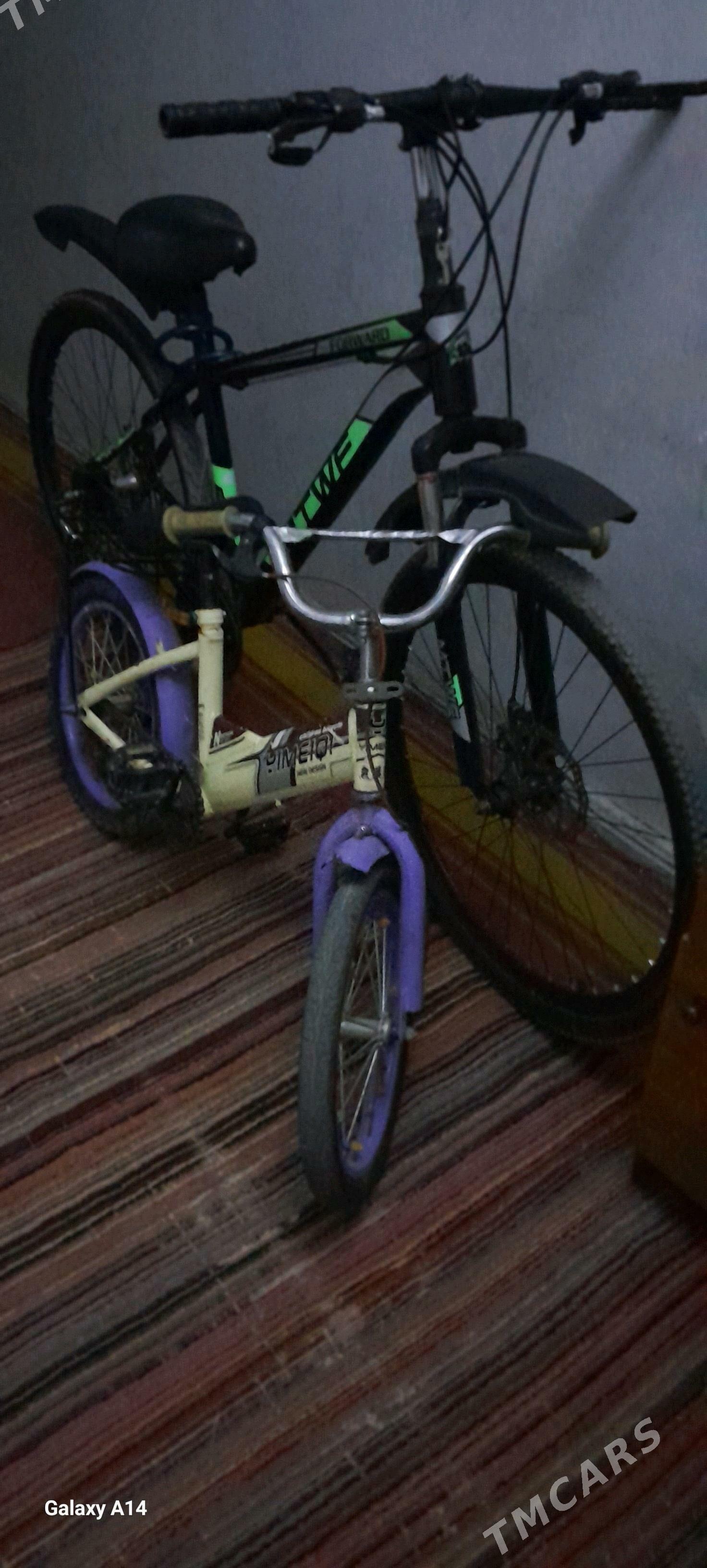 tigir - Büzmeýin - img 7