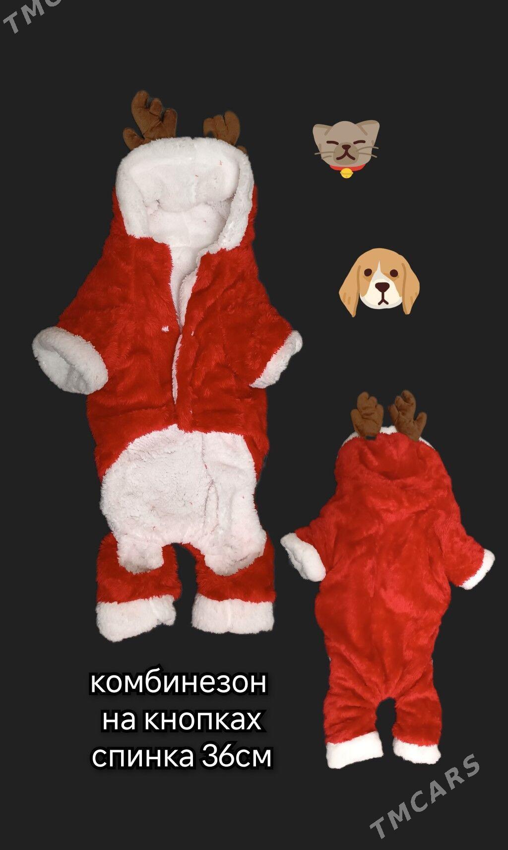 вещи для собак - Гаудан "В" - img 5