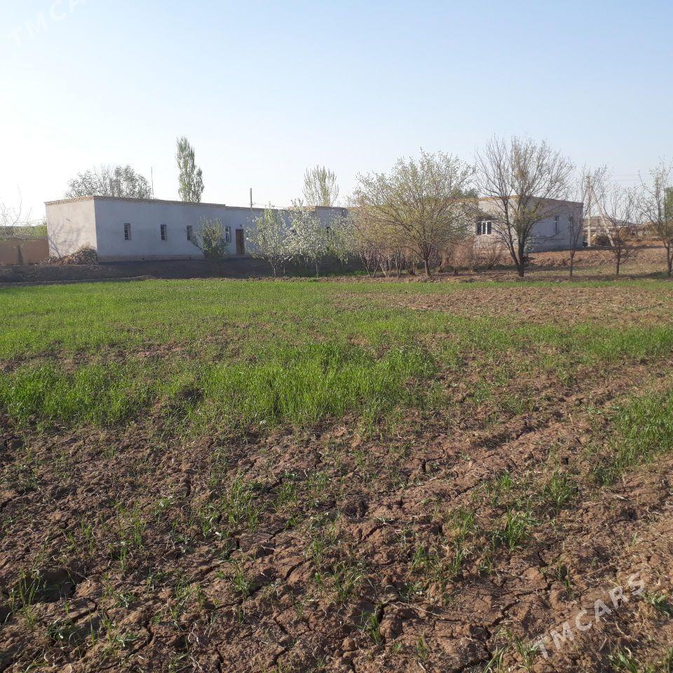 Киров 36 соток - Дашогуз - img 4