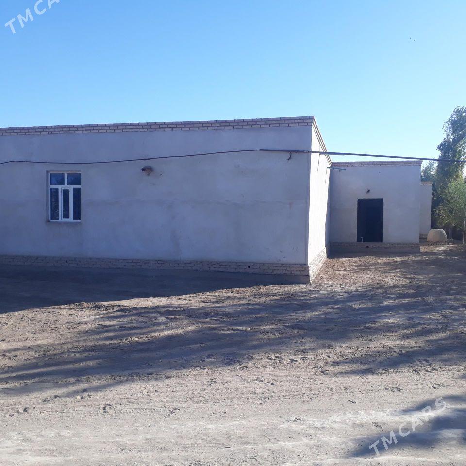 Киров 36 соток - Дашогуз - img 1