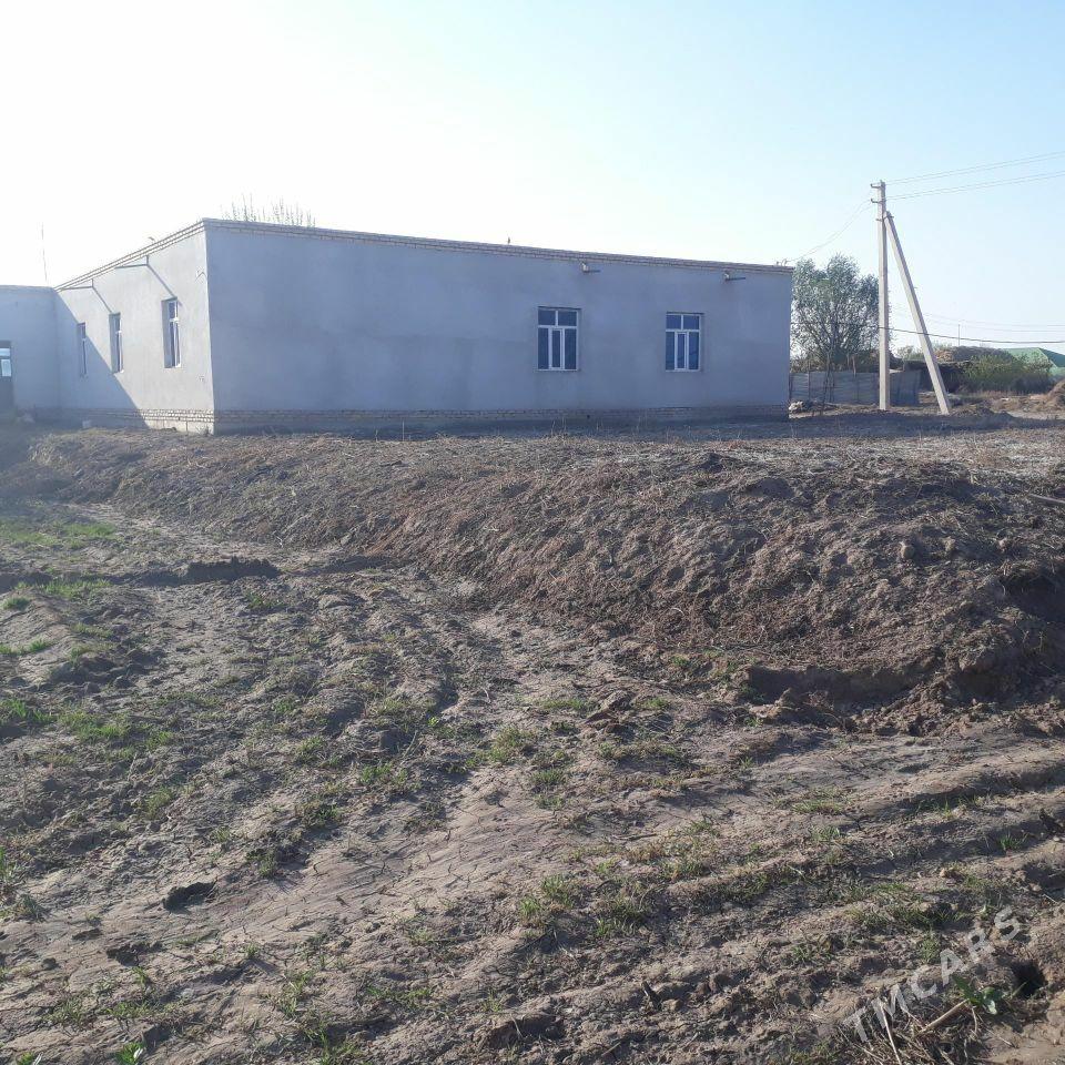 Киров 36 соток - Дашогуз - img 2