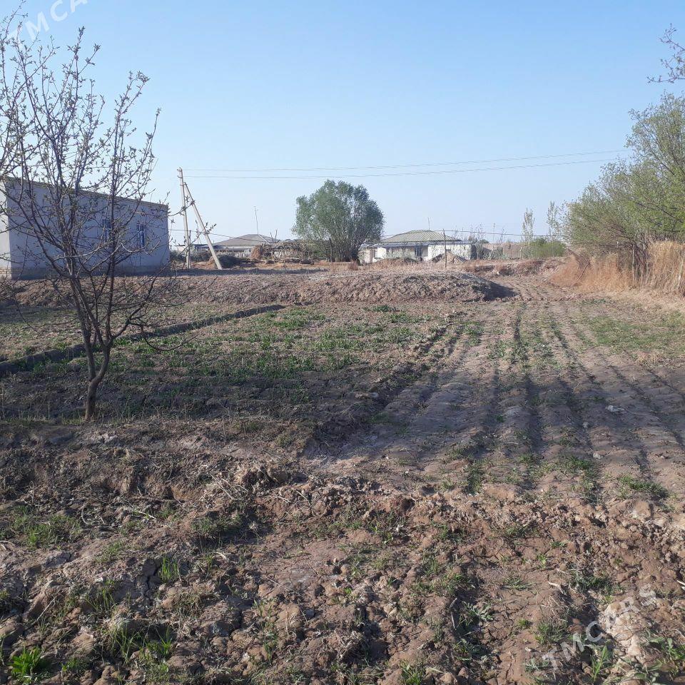 Киров 36 соток - Дашогуз - img 6