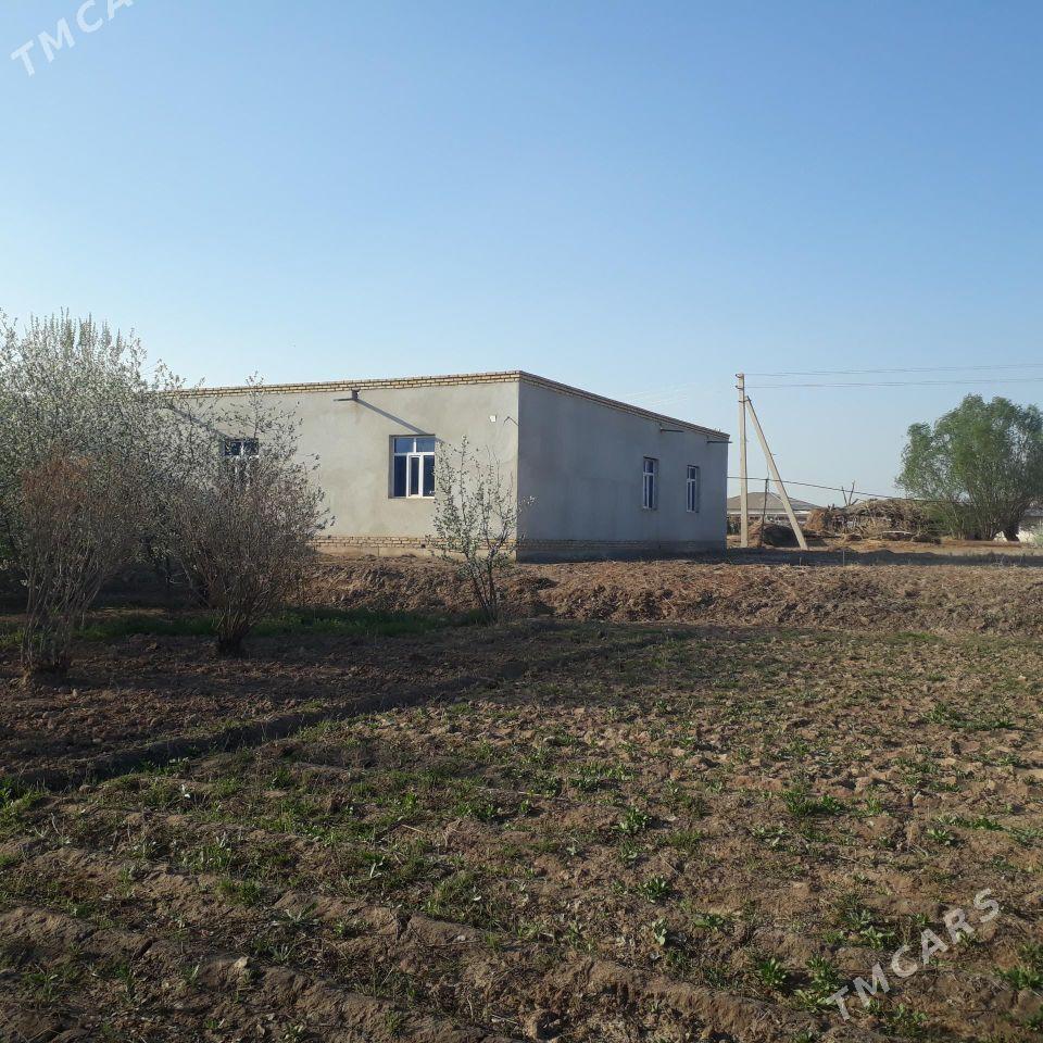 Киров 36 соток - Дашогуз - img 3