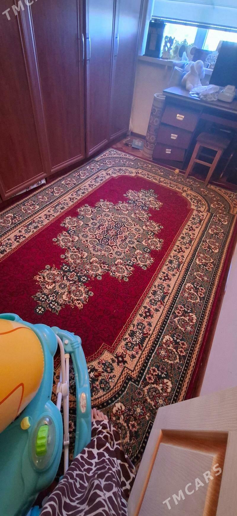 haly - Parahat 4 - img 2