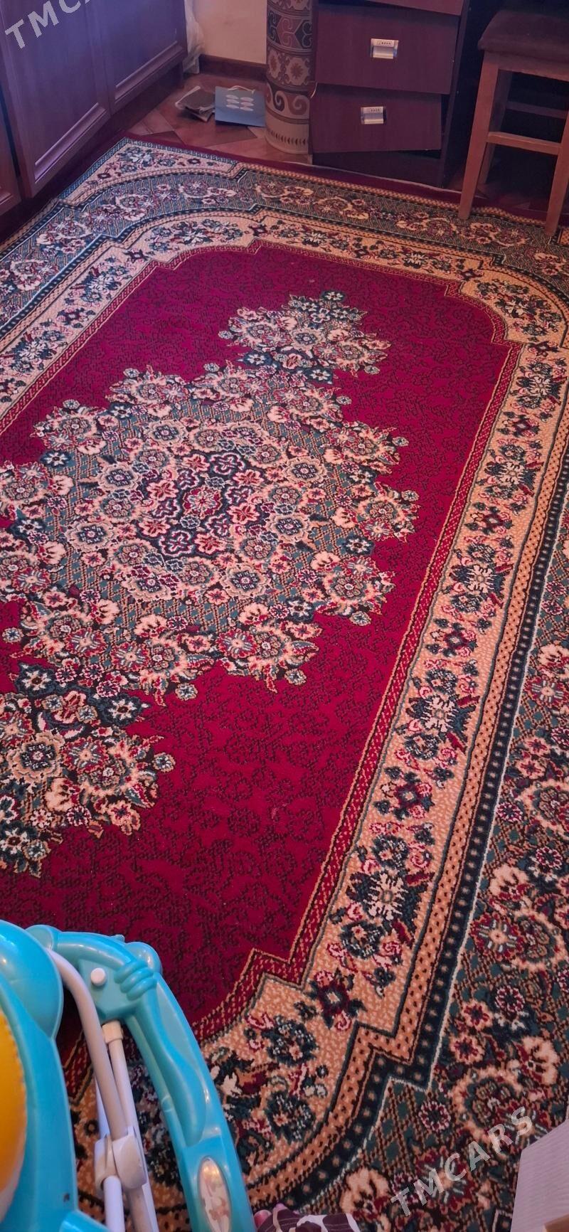 haly - Parahat 4 - img 3