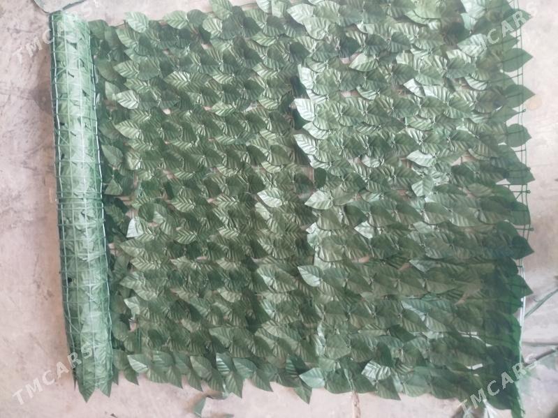 zabor ýaprak - Aşgabat - img 2