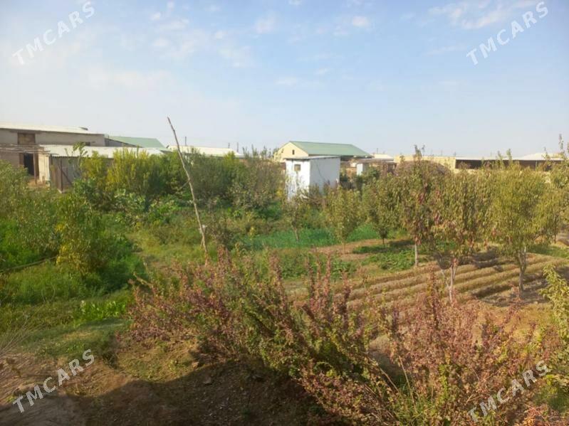 плановый дом - Dänew - img 5