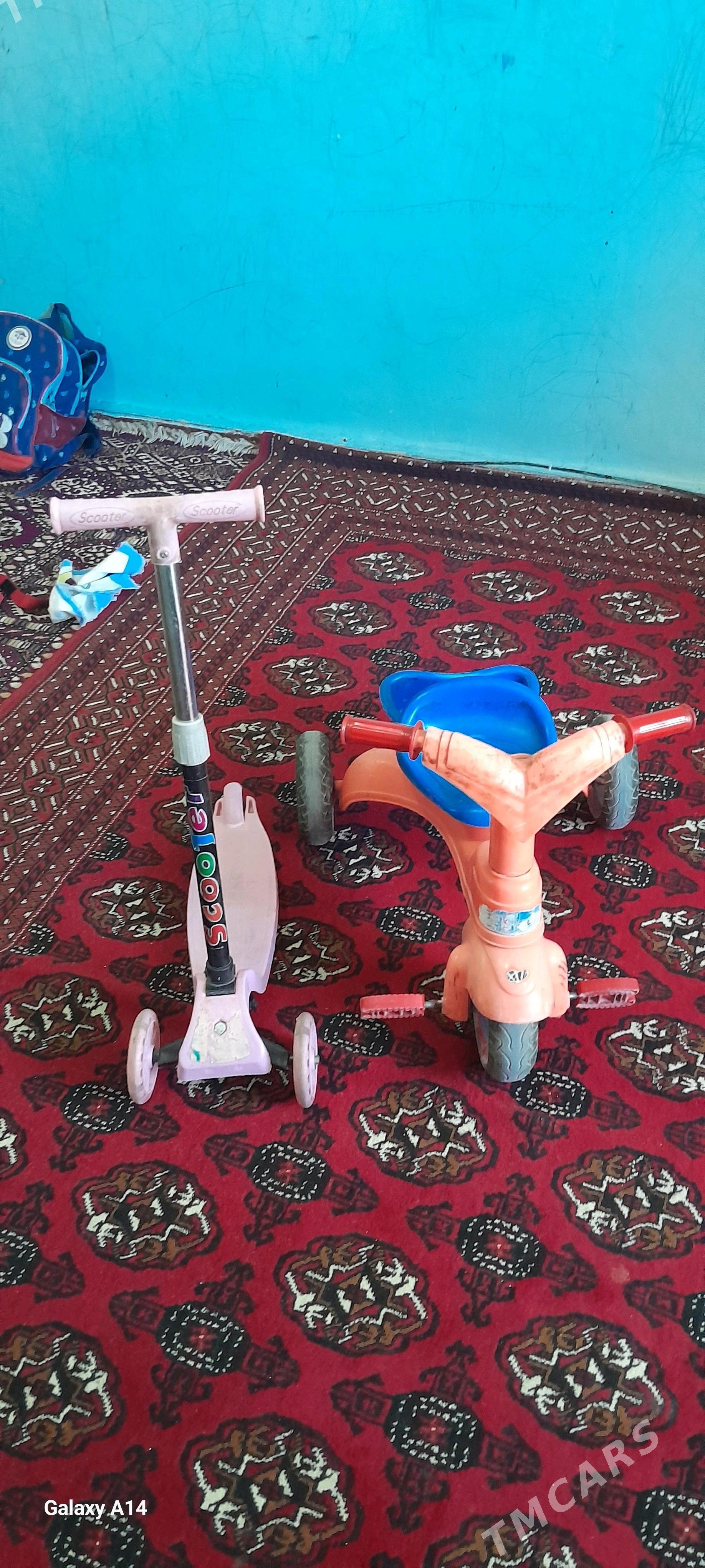 tigir - Büzmeýin - img 2