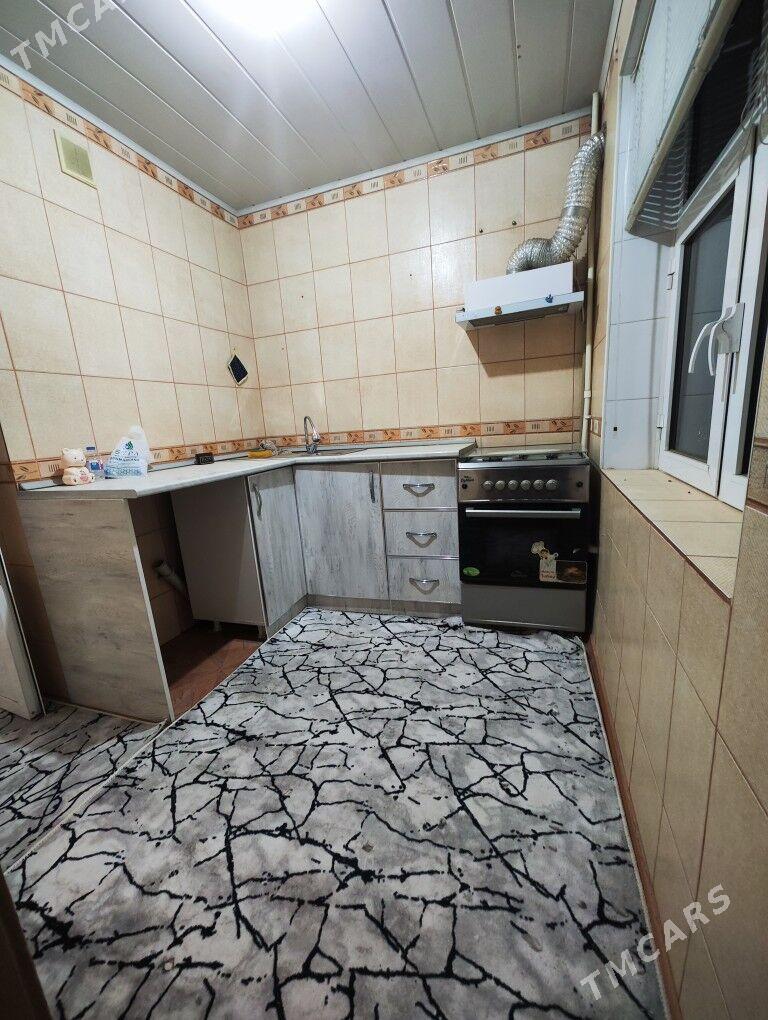 satlyk jay - Мары - img 10