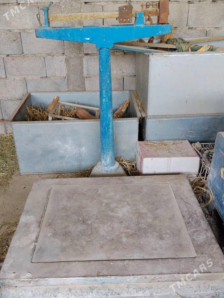 Terezi - Gökdepe - img 1