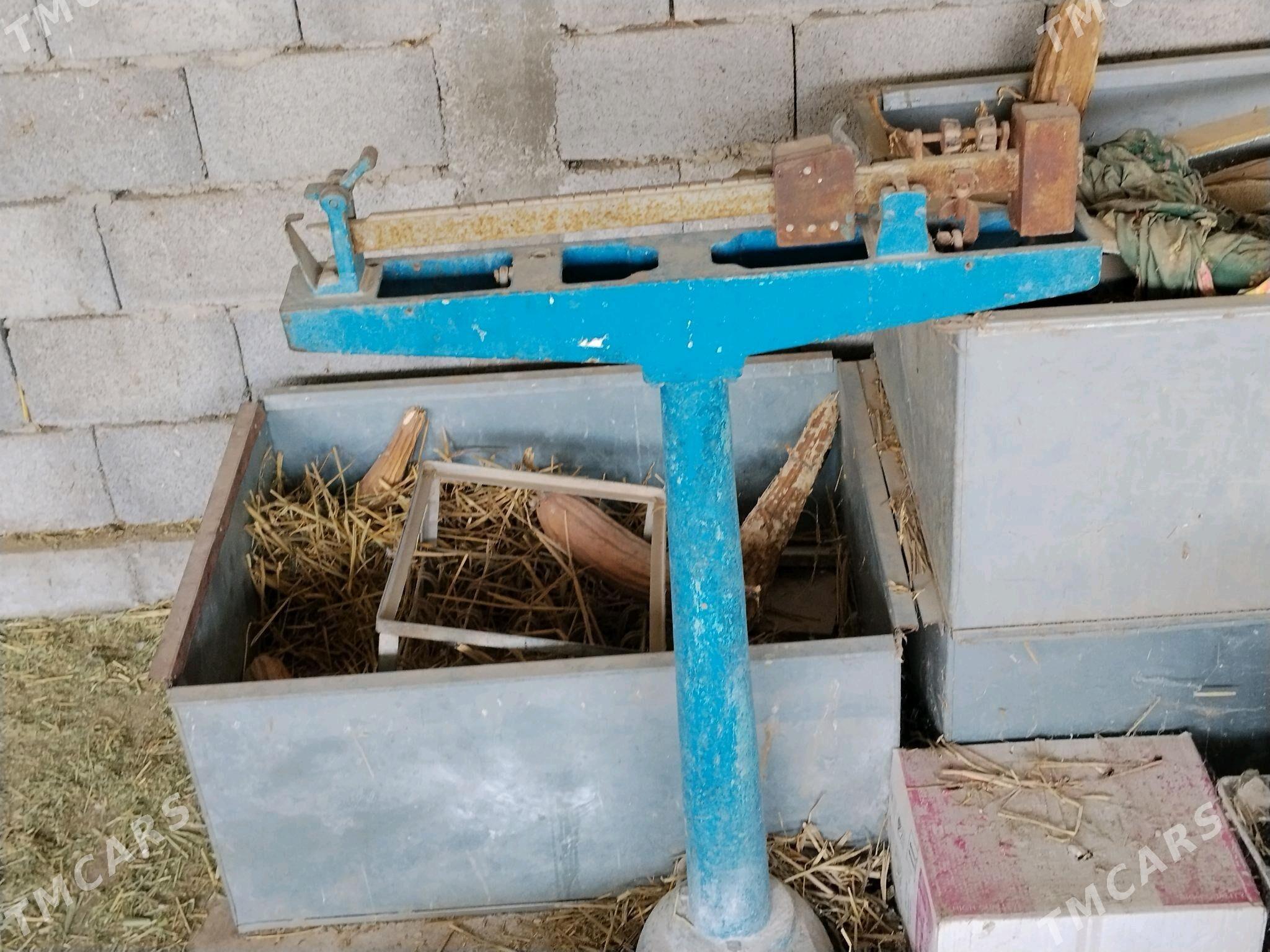 Terezi - Gökdepe - img 3