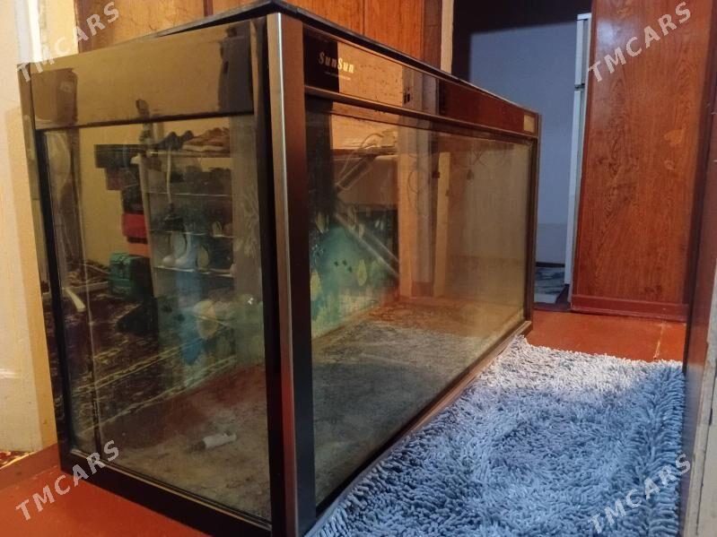 Akwarium - Мир 1 - img 9