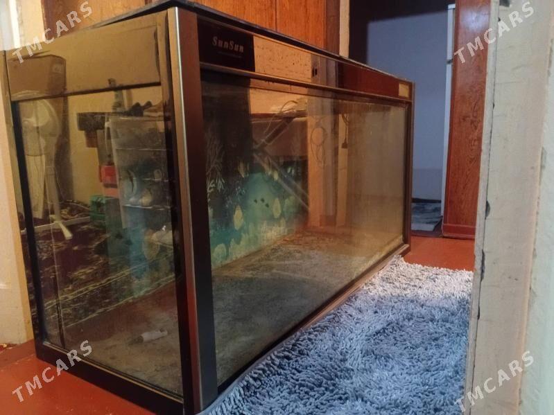 Akwarium - Мир 1 - img 3