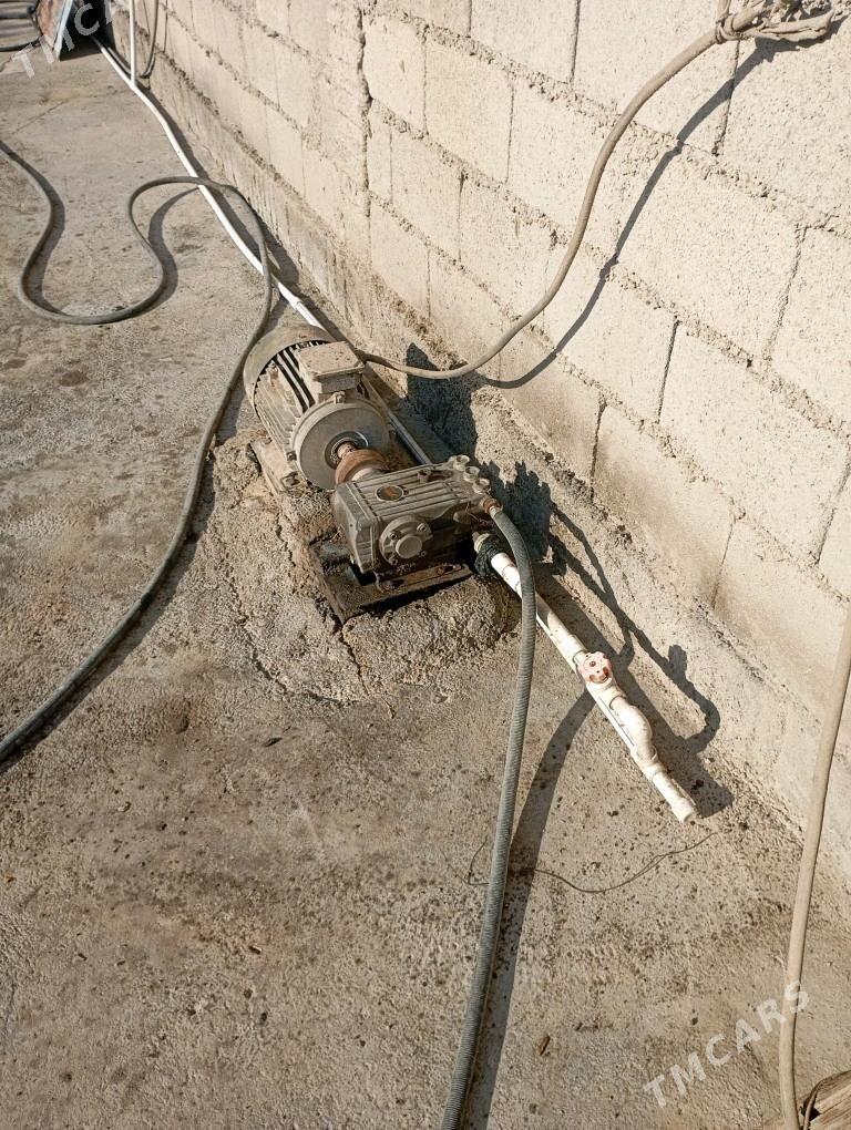 moyka - Херрикгала - img 1