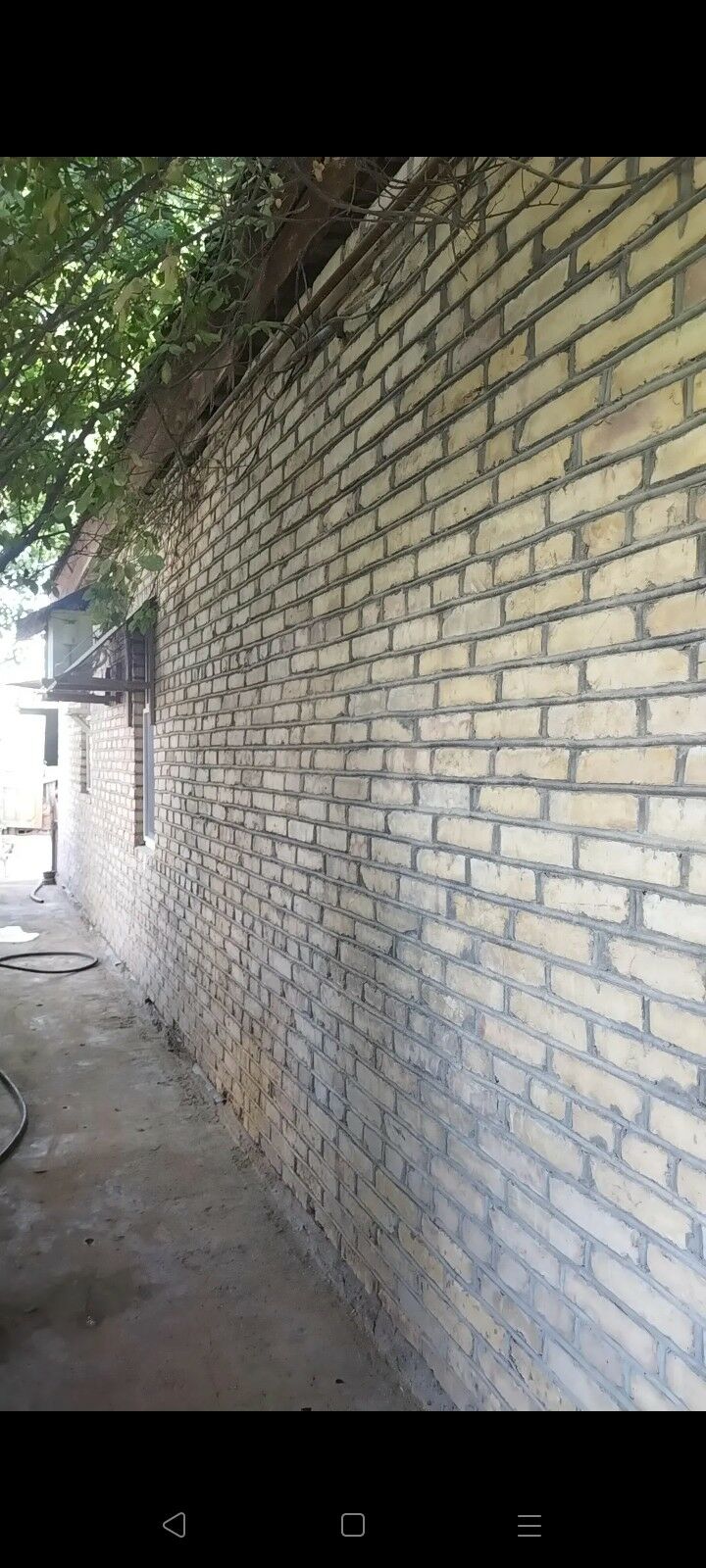 satlyk jay - Сакарчага - img 2