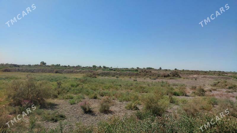 участка - Гурбансолтан Едже - img 6