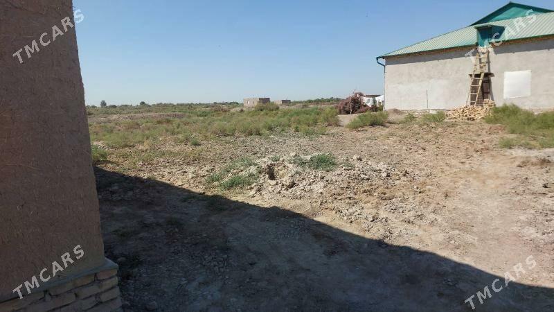 участка - Гурбансолтан Едже - img 7