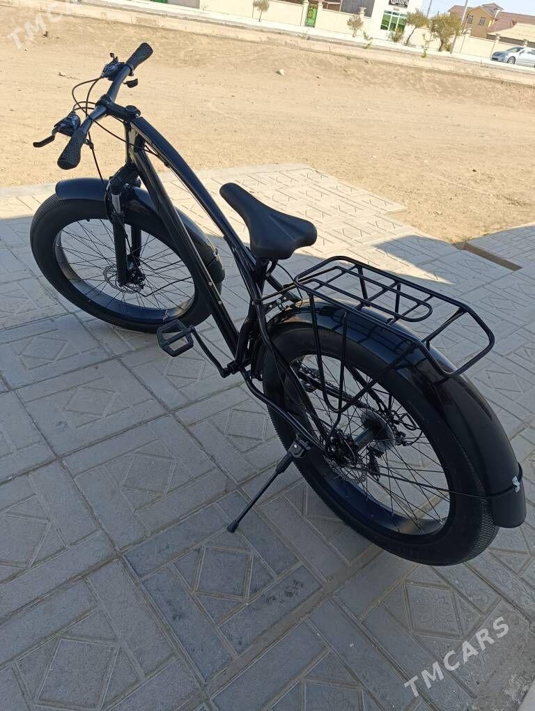 Tigir - Gumdag - img 2