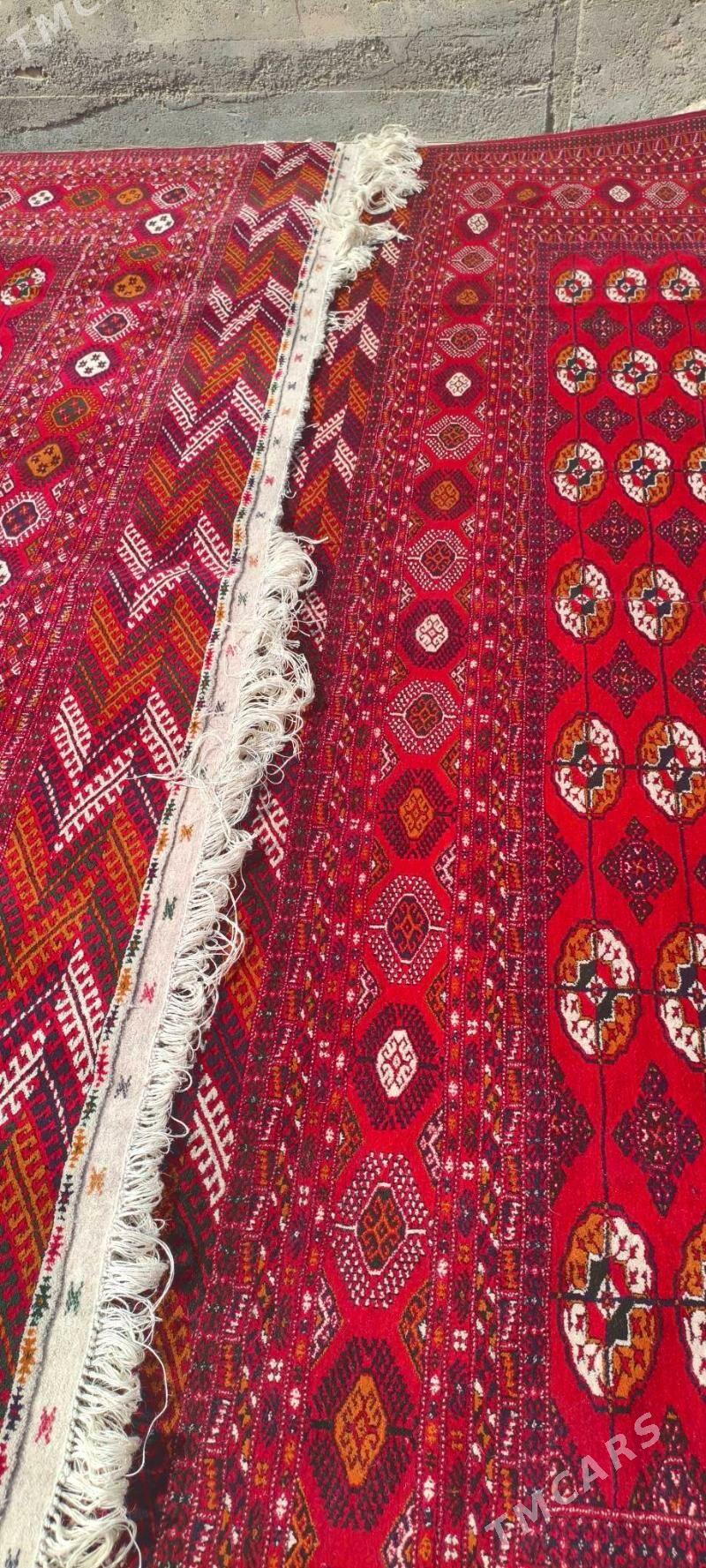 el haly 4/5 - Bäherden - img 1