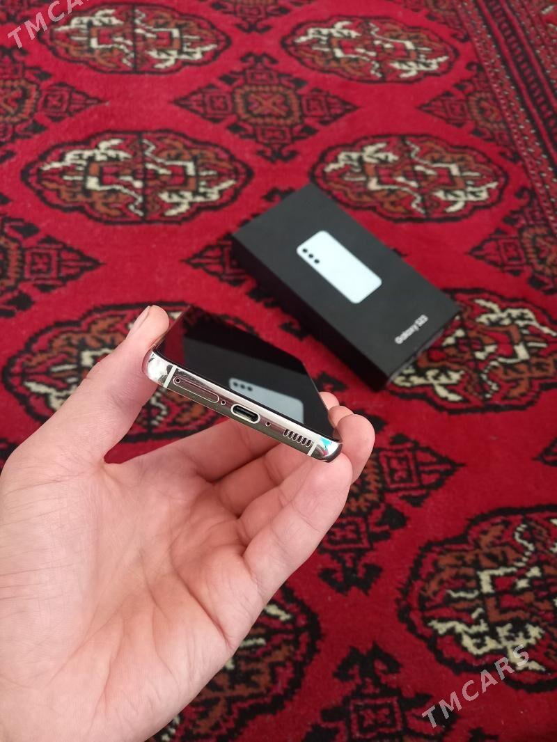 S23 - Sakarçäge - img 1