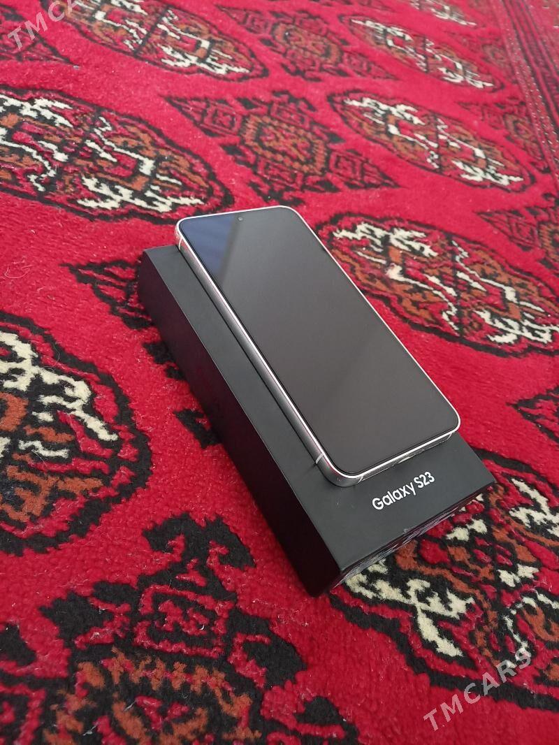 S23 - Sakarçäge - img 3