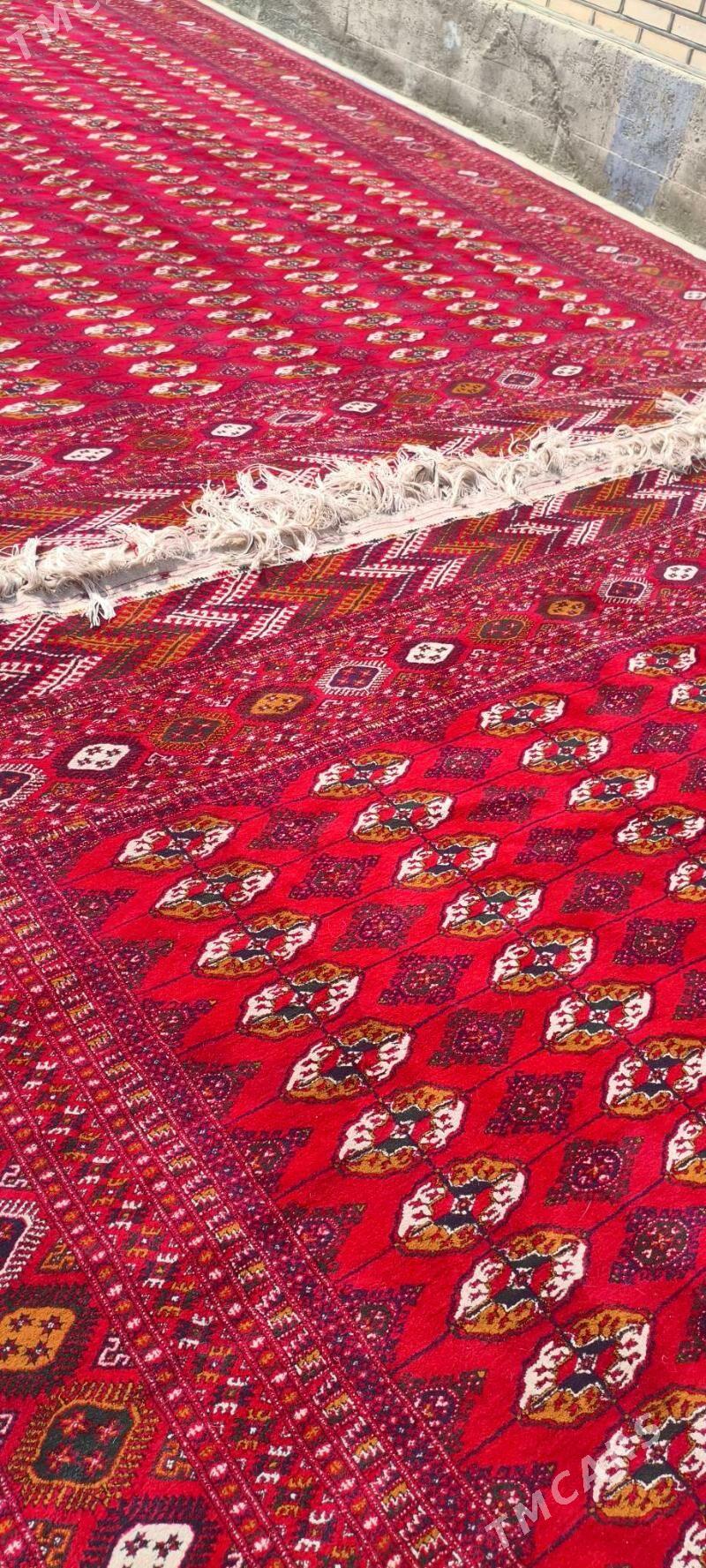 el haly 4/5 - Bäherden - img 4