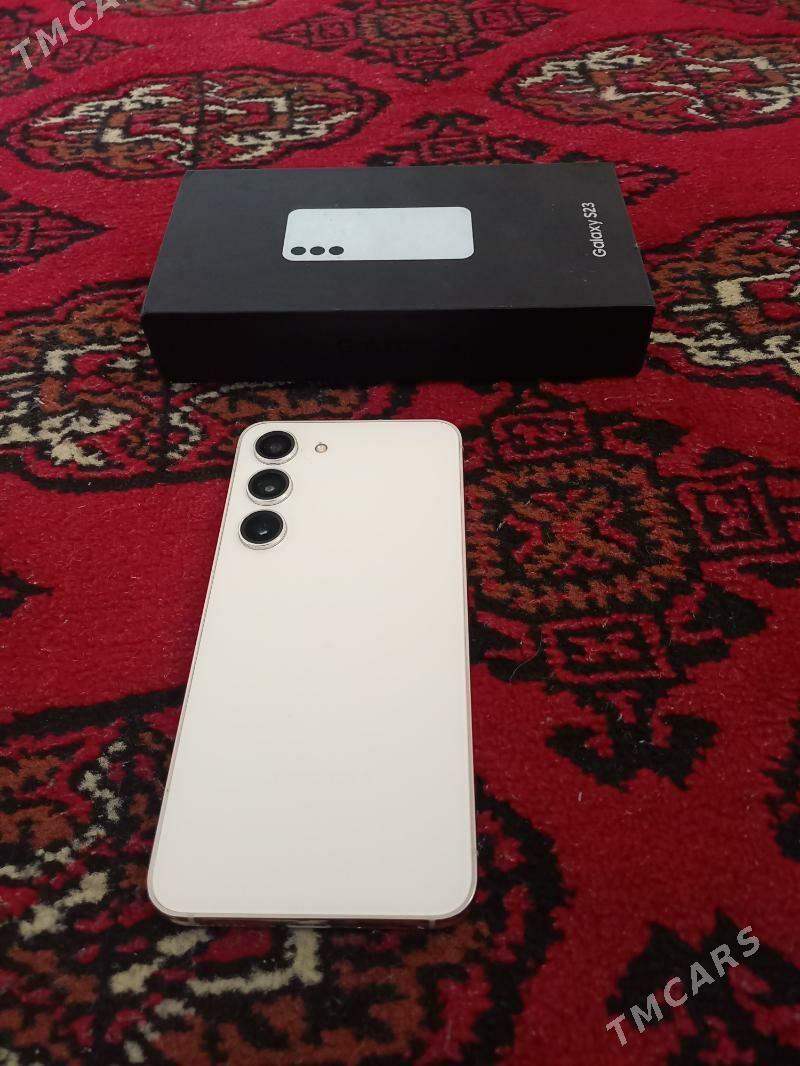 S23 - Sakarçäge - img 2