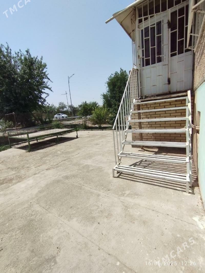 Satlyk jay - Türkmenabat - img 7