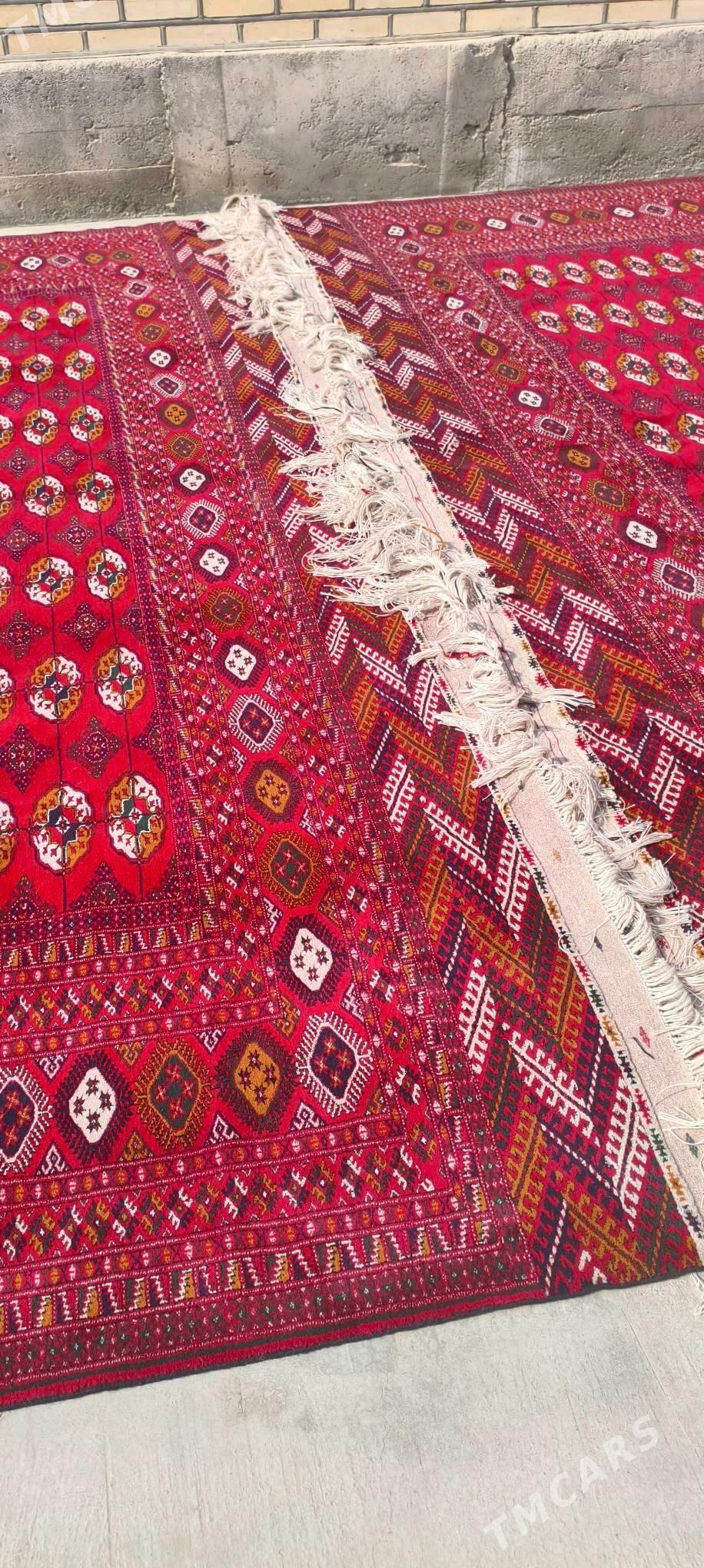 el haly 4/5 - Bäherden - img 5