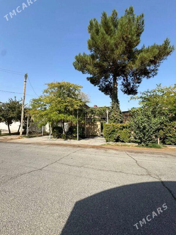 ak altyn plan jay satlyk jay - Ашхабад - img 7