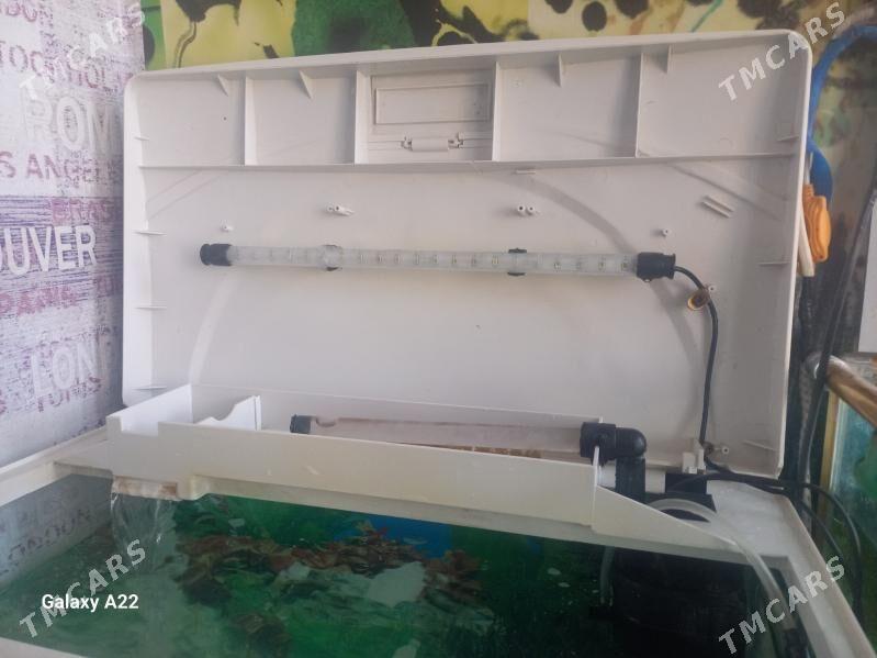 аквариум - Ашхабад - img 1