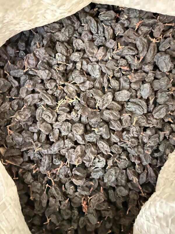 Kişmiş Kişde Kak - Aşgabat - img 7