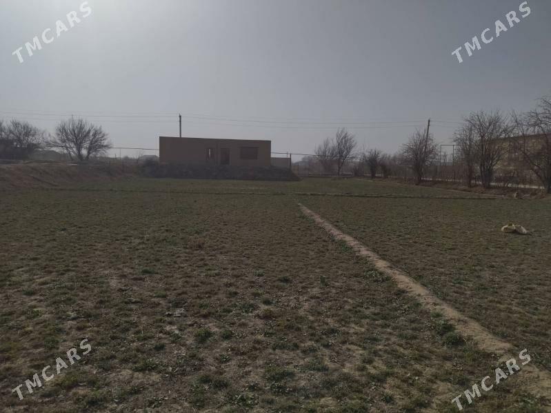 Mellek jay - Garabekewül - img 4