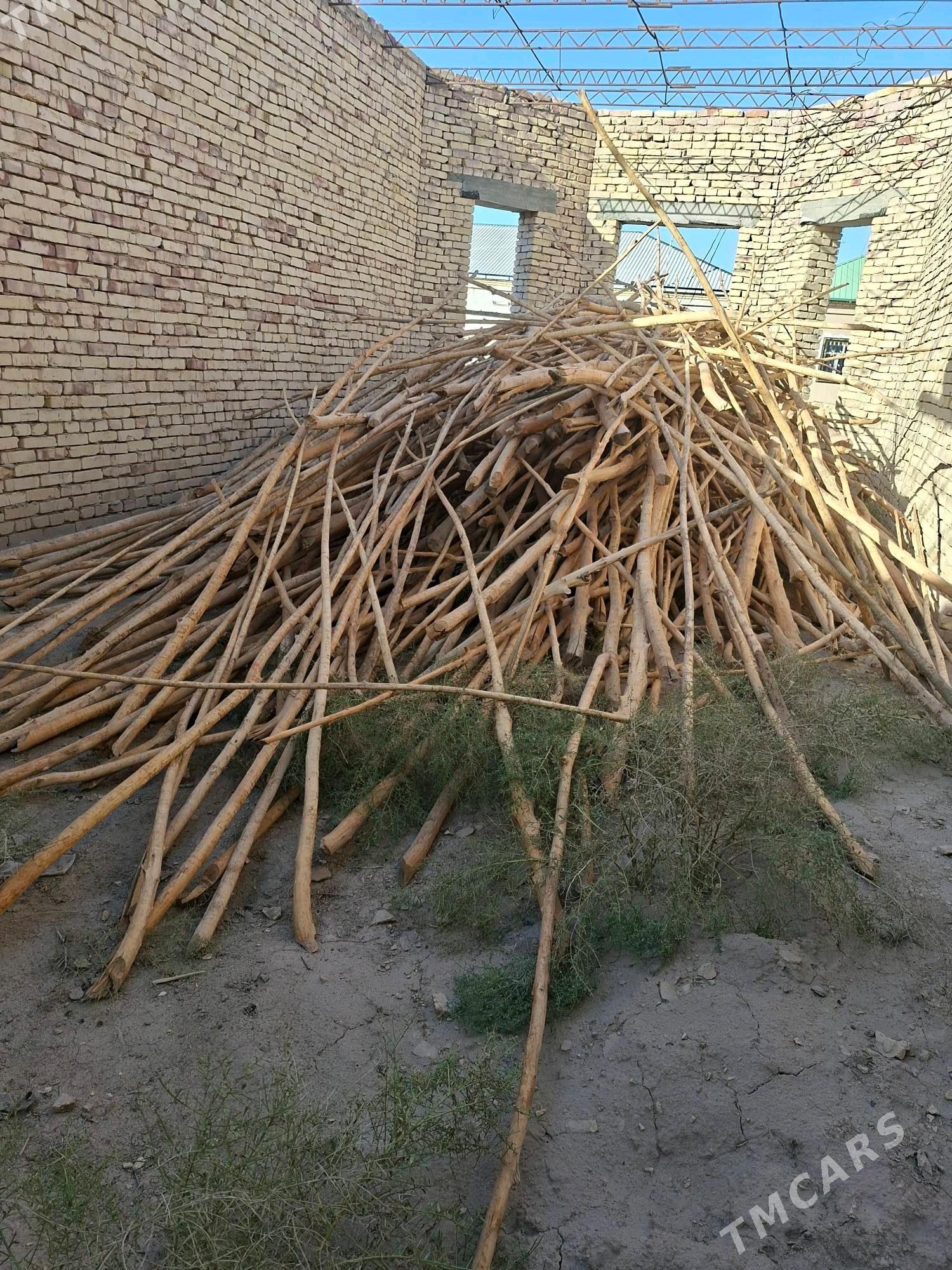 hada - Daşoguz - img 1