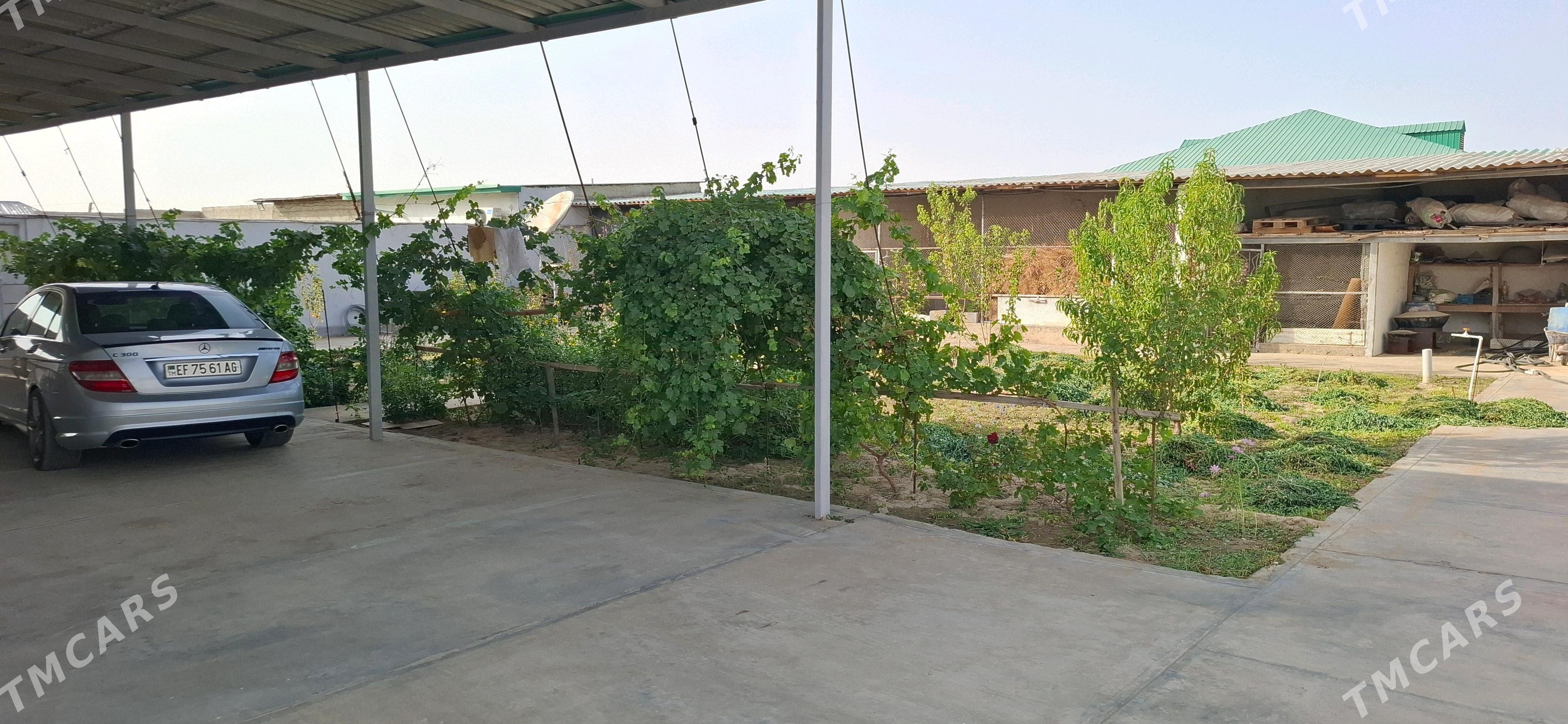 Õñaldy plan jaý - Ak bugdaý etraby - img 4