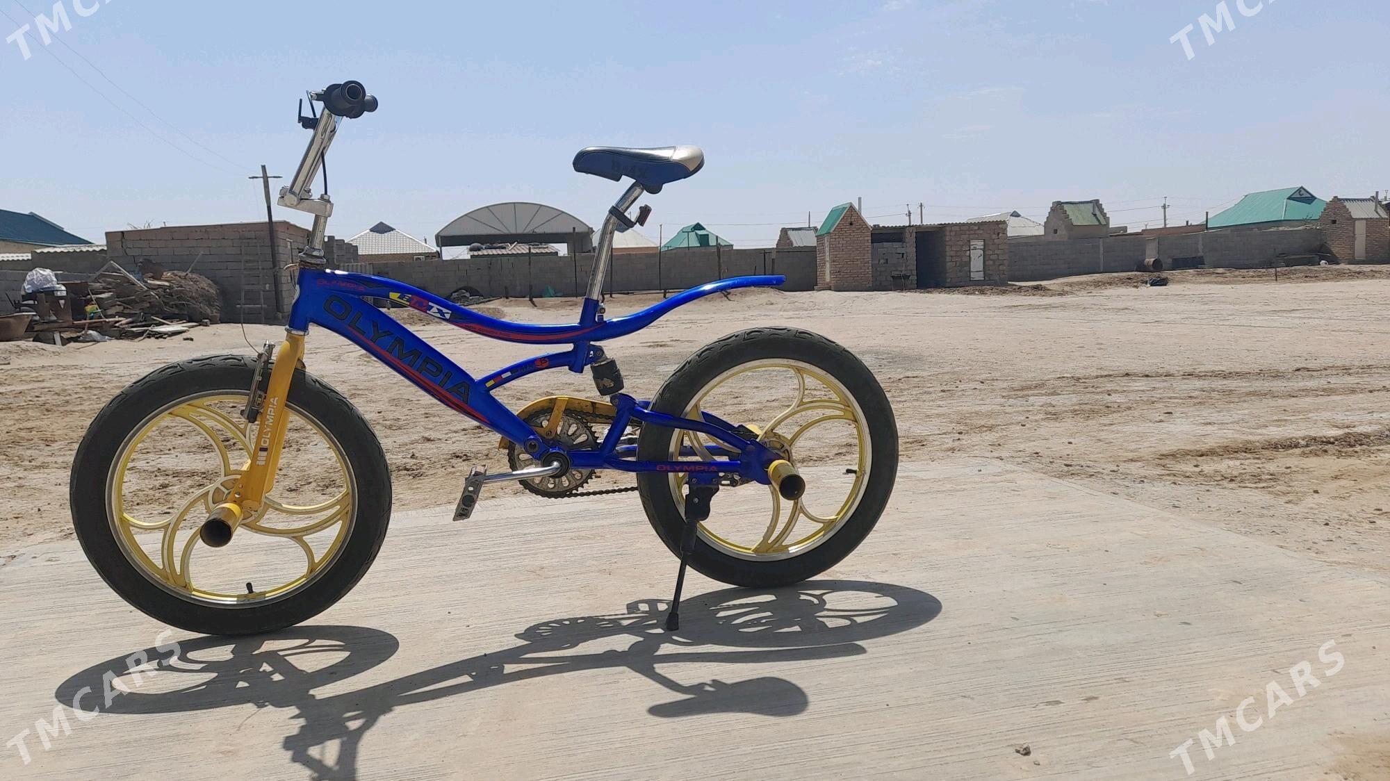 Olipiýa tigir - Ak bugdaý etraby - img 3