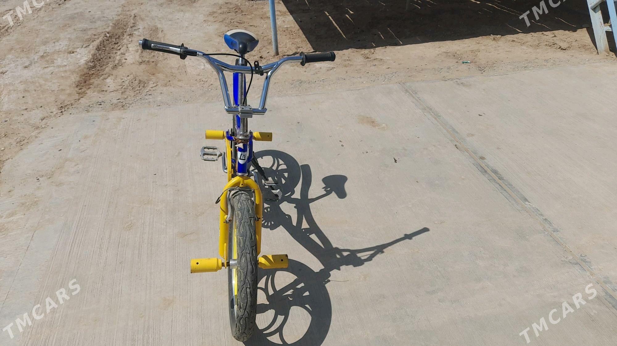 Olipiýa tigir - Ak bugdaý etraby - img 1