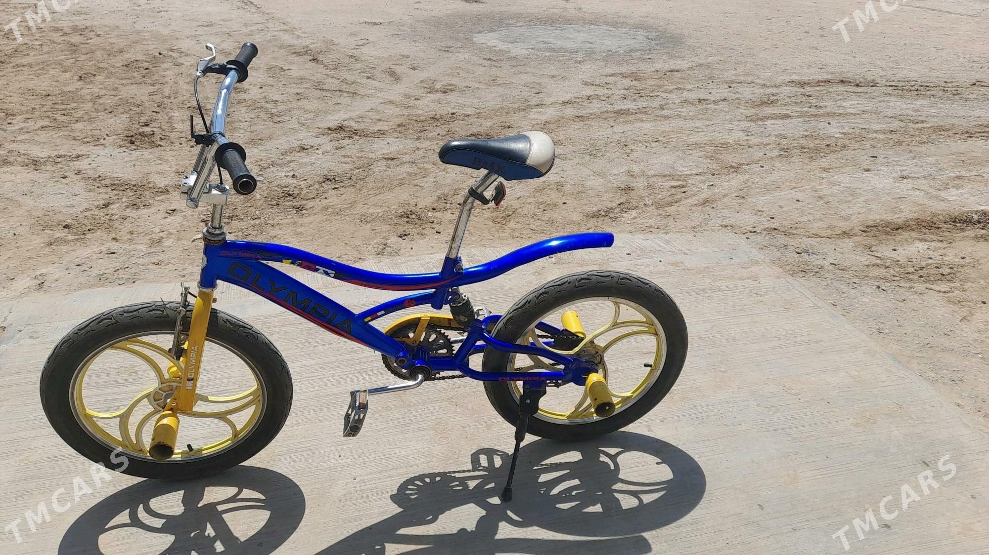 Olipiýa tigir - Ak bugdaý etraby - img 4