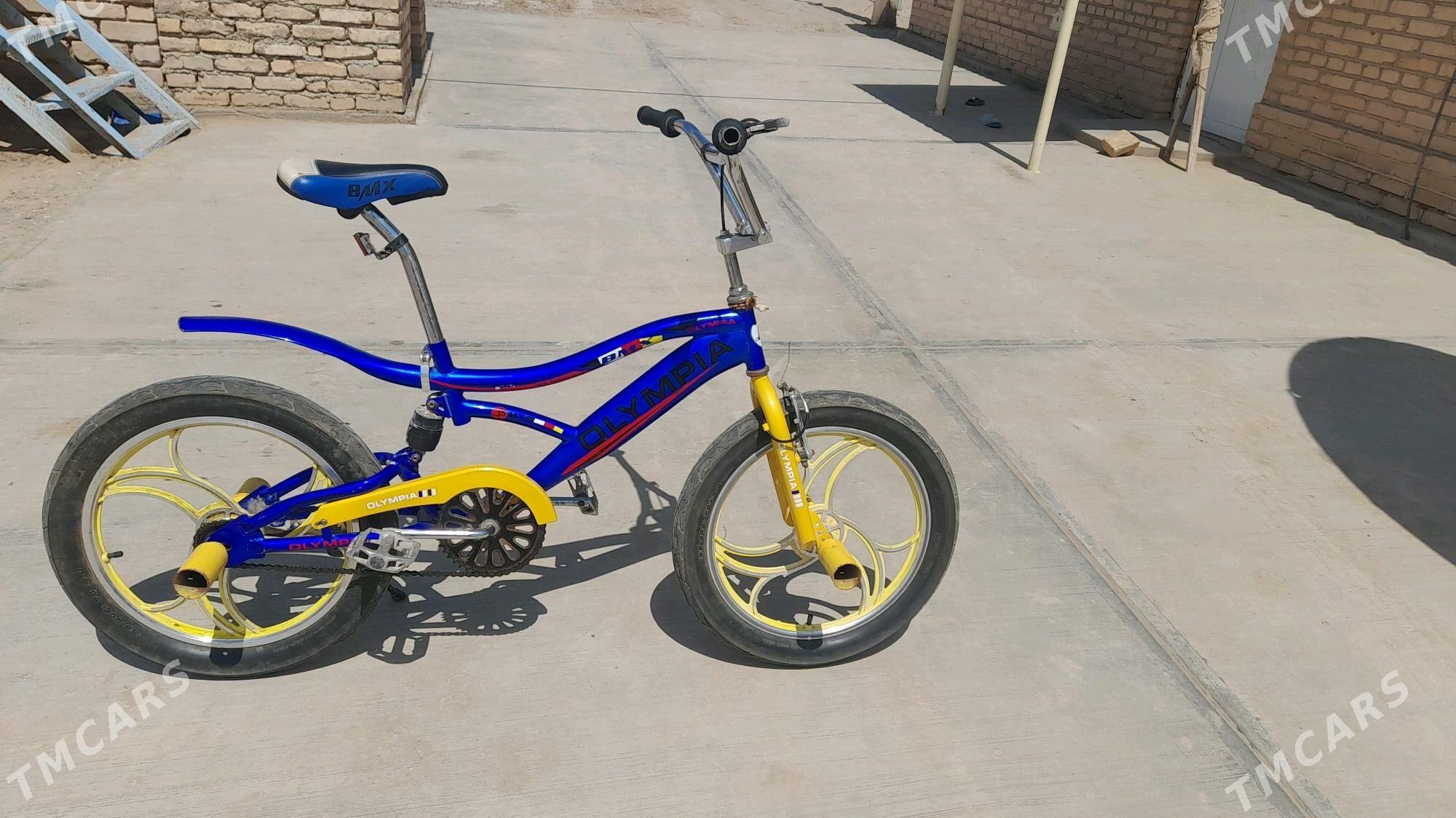 Olipiýa tigir - Ak bugdaý etraby - img 2