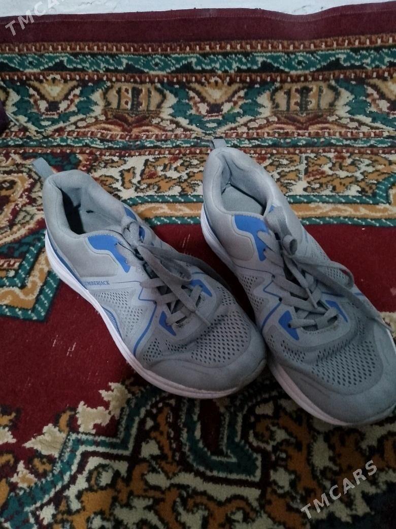 Oğlan Krasowka hem köwuş - Köşi - img 2