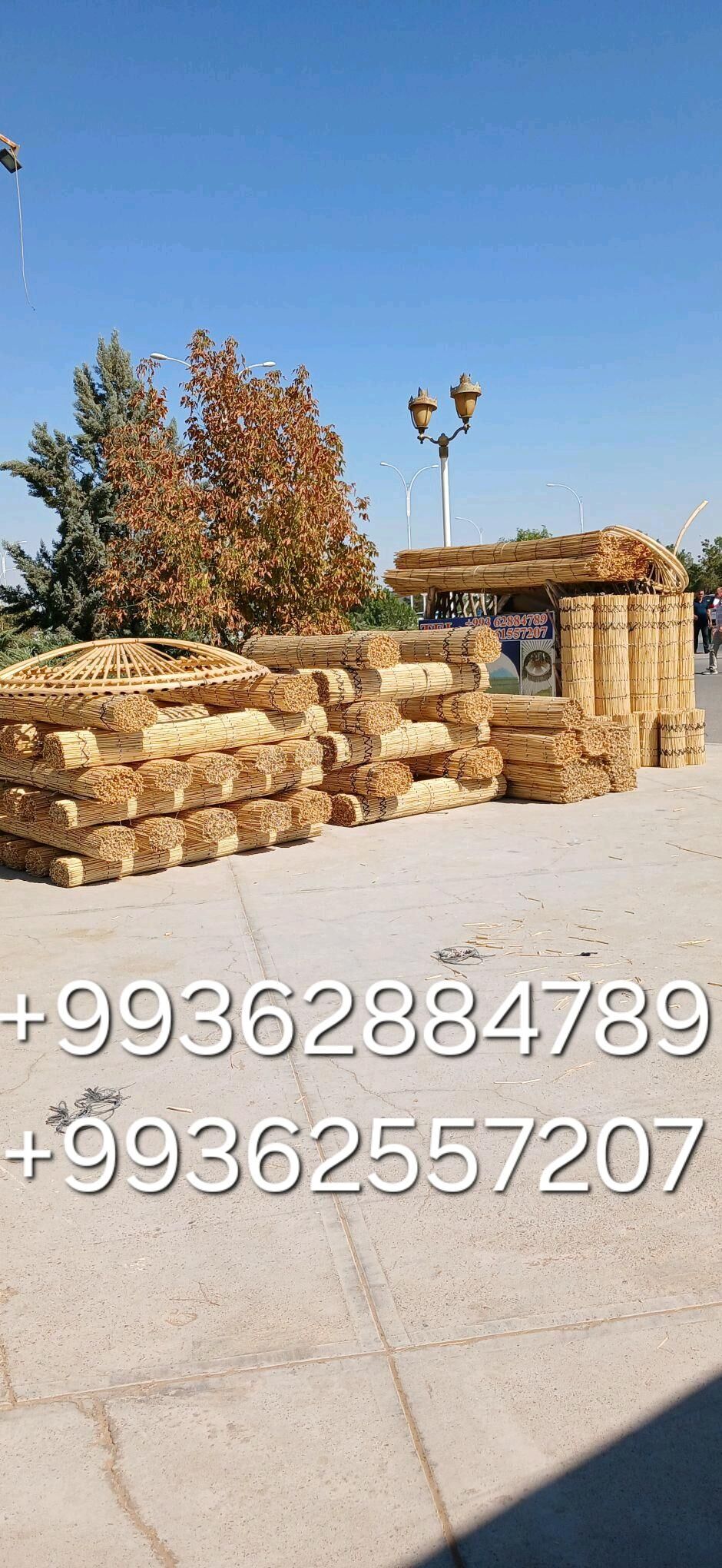 Ak öÿ gara öÿ gamyş - Aşgabat - img 4