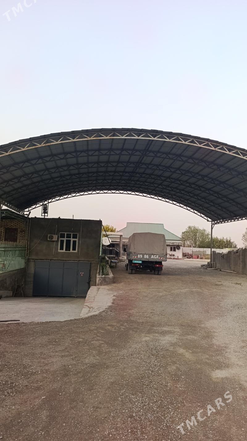 nawes - Aşgabat - img 2