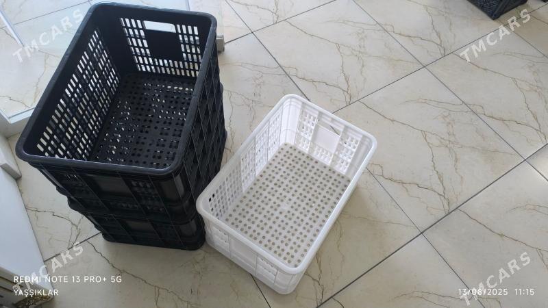 Uly yaşşik - Çoganly - img 2